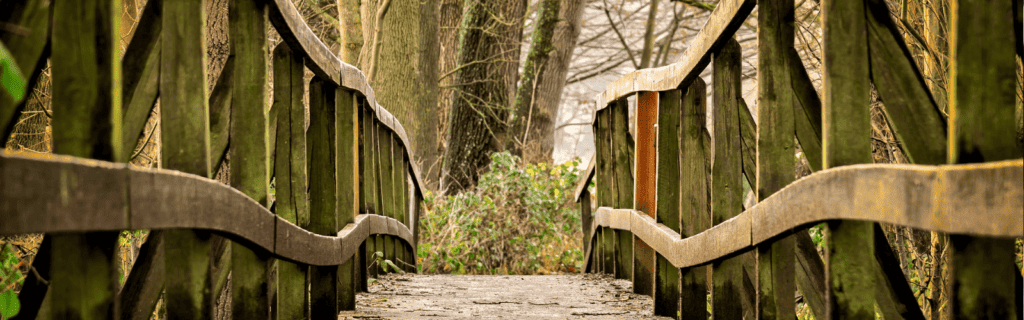 Building a mindfulness bridge