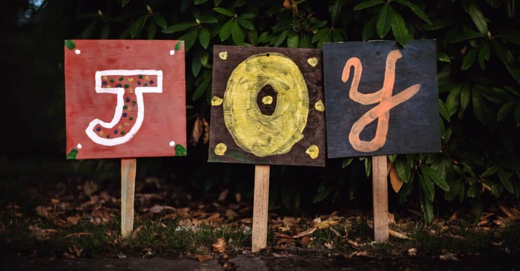 Leaning into Joy in a Crazy 2020