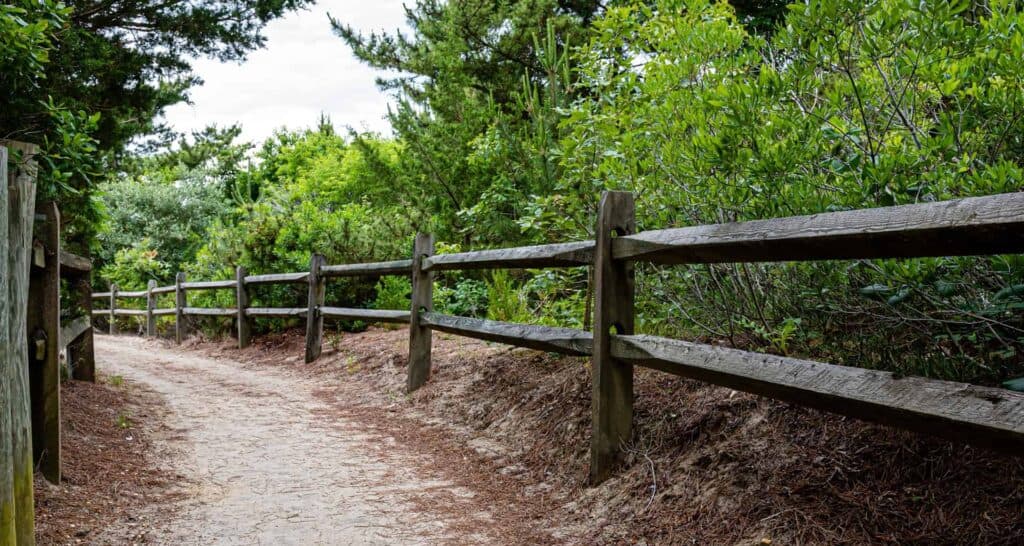 Why You Need Healthy Boundaries